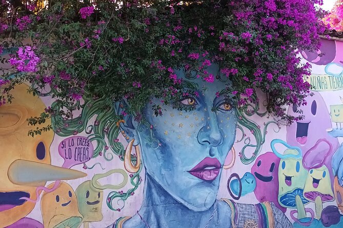 Bicycle Tour through Oaxaca learning about its Urban Art and History - Why a Oaxaca street-art bike tour is such good value
