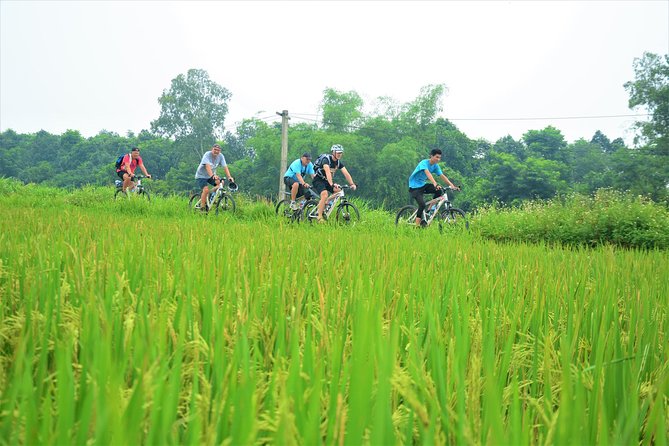 Bicycle Tours Hanoi: Full Day Bicycle Tour Hanoi Countryside - Lại Đà and the Bonsai Moment
