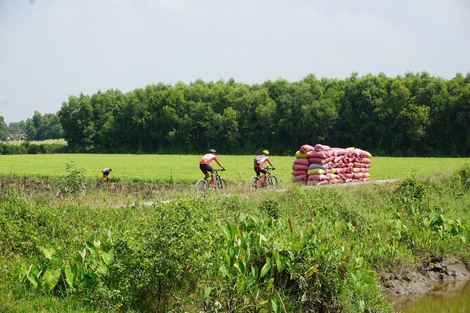 Bike And Boat Mekong Delta Cycling Tour - Mekong Delta, but bike-first (and that changes the feel)