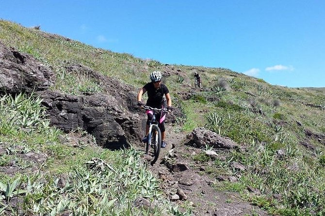 Bike Rental - Key Points at a Glance