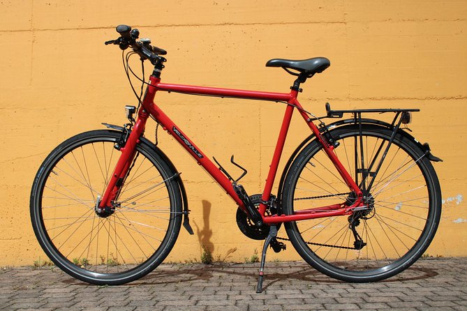 Bike rental - Price and value: is $69.39 for a group worth it?