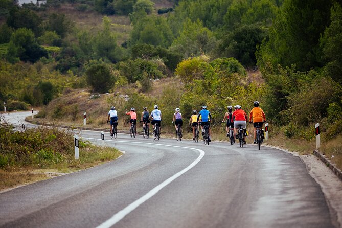 Bike Rental in Croatia - Key Things That Make This Bike Rental Work