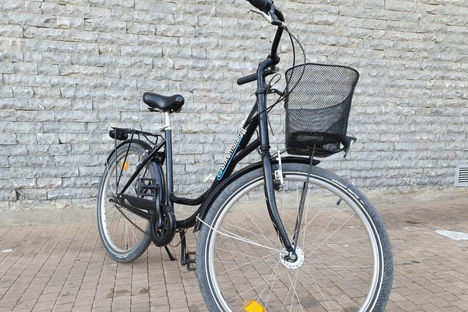 Bike Rental in Malaga - Who should book this bike rental in Malaga?