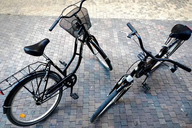 Bike Rental in Malaga - Build your own Malaga ride: beaches, port, and Palmeral de las Sorpresas