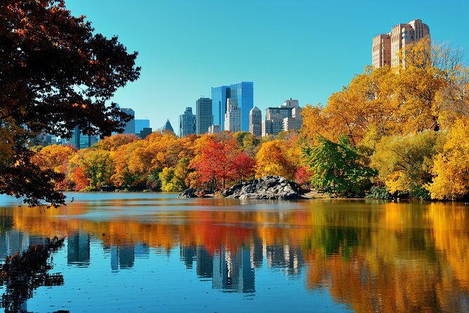 Bike Rental in NYC Central Park - The Balto statue and the “see more” payoff