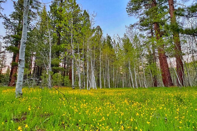 Bike Rental in South Lake Tahoe - Riding philosophy: park-and-ride now, decide your trails later