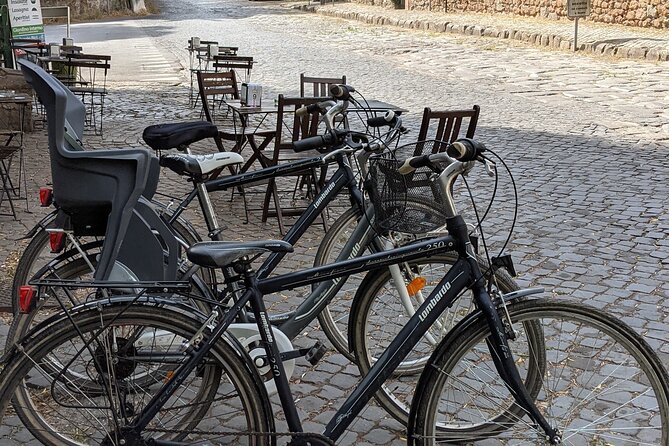 Bike Rental inside Appian Way Regional Park - Helmet and Gear: Included, But You Still Need to Use It