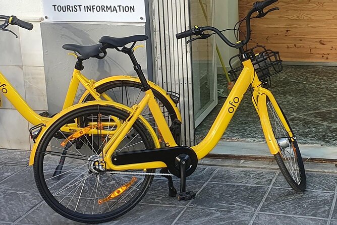 Bike Rental per Day in Seville - Why Seville’s Bike Lanes Make the Whole City Feel Walkable