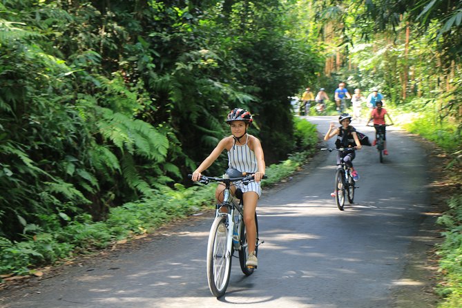 Bike ride in the rice fields, Bali countryside - Why this Bali rice-field ride feels different near Seminyak