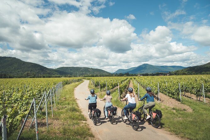 Bike ride on the Wine Route from Sélestat - Key highlights you’ll feel on the ride