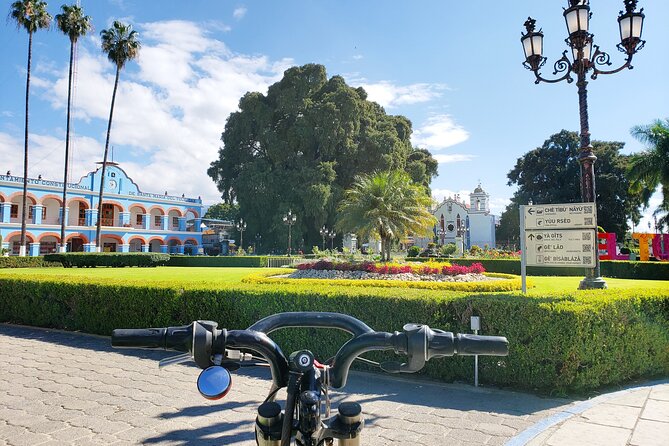 Bike Ride to the Largest Tree in the World - Key highlights to look for