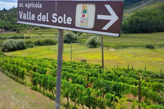 Bike Ride & WIne Tasting - Practical tips to get the smoothest ride