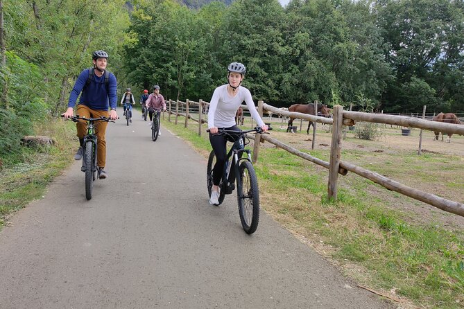 BikeBrix Scenic Cycling Tour in Lake Maggiore Ascona Locarno - Price and value: what you actually get for $193.56