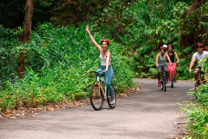 Blue Mountain Bicycle Tour - Key things that make this tour work
