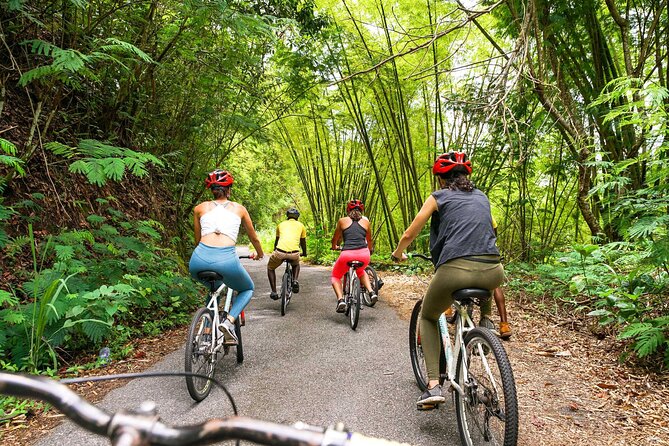 Blue Mountain Bicycle Tour - Why this Blue Mountain Bicycle Tour feels like more than a ride