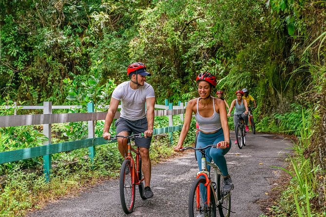 Blue Mountain Bicycle Tour - The downhill bike ride at 5,600 feet: relaxed pace, real roads
