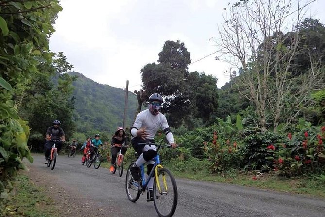 Blue Mountain Bicycle Tour from Montego Bay - Why a Blue Mountains downhill bike ride works better than a bus tour