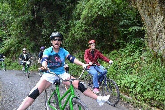Blue Mountain Bicycle Tour from Montego Bay - Blue Mountain coffee fields: seeing the real source of the famous flavor