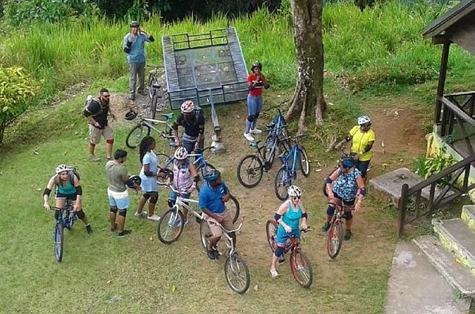 Blue Mountain Bicycle Tour from Montego Bay - Meals on mountain time: light breakfast, brunch, and lunch (and why pacing matters)