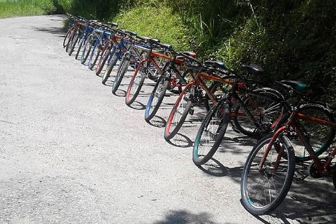 Blue Mountain Bicycle Tour from Montego Bay - Equipment, group size, and comfort level for families