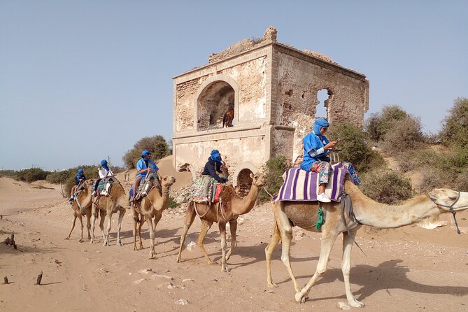 Camel ride or quad bike ride.. pick up, drop off. including - What you’ll see on this Essaouira camel trek: fort, river, and birds