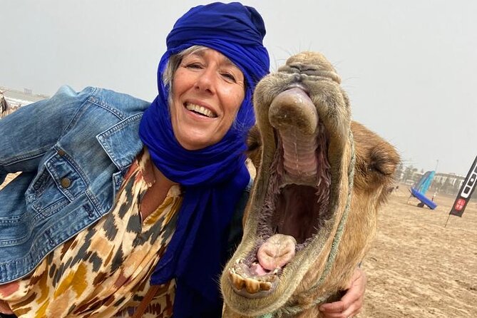 Camel ride or quad bike ride.. pick up, drop off. including - Oued Ksob river and the bird list you can realistically keep an eye on