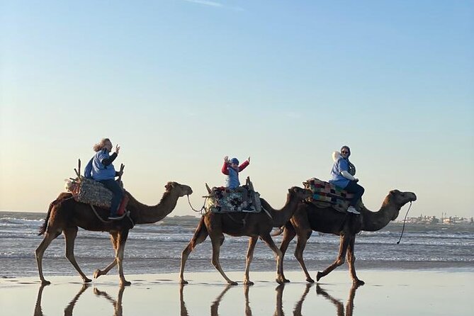 Camel ride or quad bike ride.. pick up, drop off. including - Sunset timing: when the ride turns into a coastline photo session