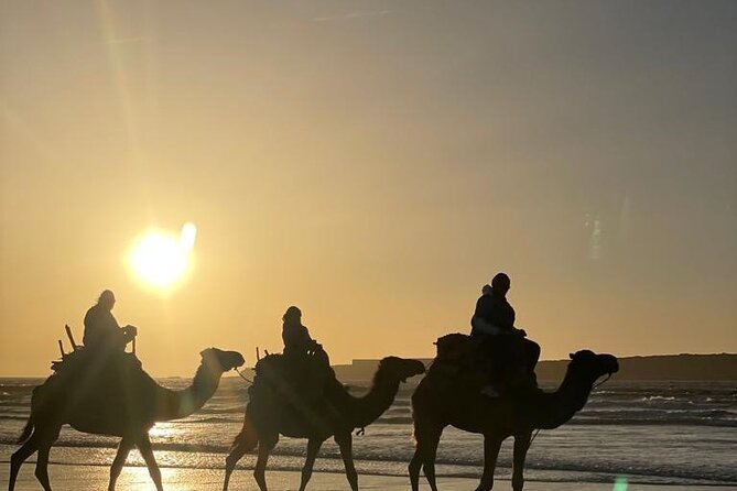 Camel ride or quad bike ride.. pick up, drop off. including - Duration and what 1 to 3 hours actually feels like