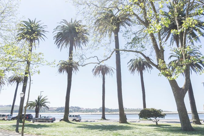 City Bike Rental in Porto - Local stops: where the advice helps most