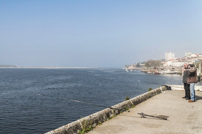 City Bike Rental in Porto - Your day on a bike: covering Porto and the Douro without the stress