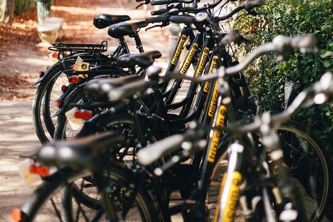 City Bike Rental with Phone Holder and Self Guided Tour - Hills, heat, and when to choose electric