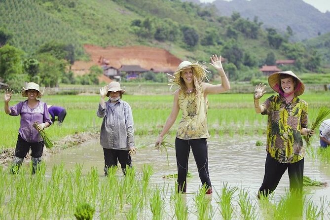 Countryside Bicycle Tour from Hoi An - All Inclusive - Inside the Ancient Town Area: Boat-Building, Mother-of-Pearl, and Family Trades