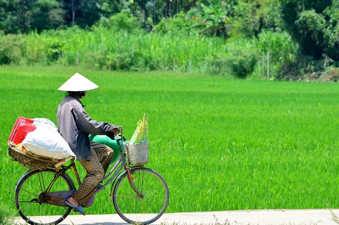 Countryside Bicycle Tour from Hoi An - All Inclusive - Moving Out to the Countryside: Rice Fields, Coconut Villages, and Thu Bon River Views
