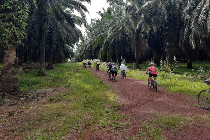 Countryside Cycling Tour. T1.0 by Matahari - Key things you’ll notice on this Penang countryside bike ride