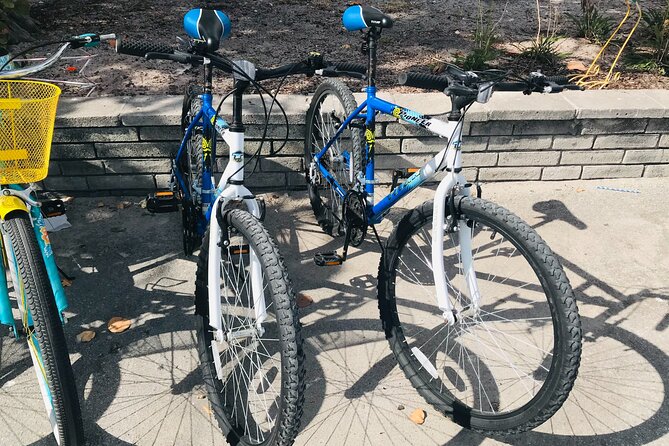 Cruiser Bike Rental at Crandon Park - Bikes, Effort, and Common-Sense Riding Tips