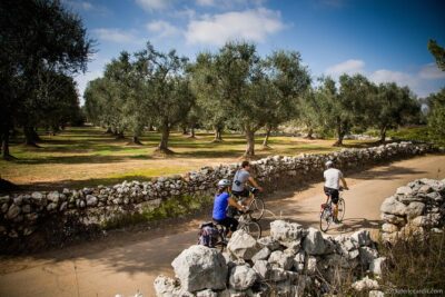 Cycling Across Salento: Capo di Leuca 4-Hour Bike Tour - Torre di Salignano: your first taste of local defense history