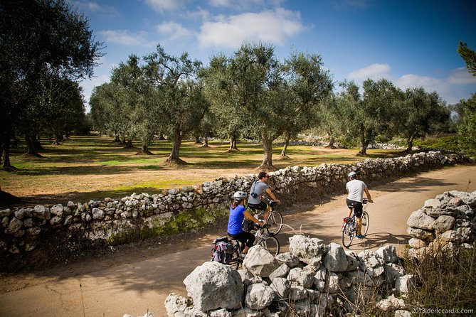 Cycling Across Salento: Capo di Leuca 4-Hour Bike Tour - Torre di Salignano: your first taste of local defense history