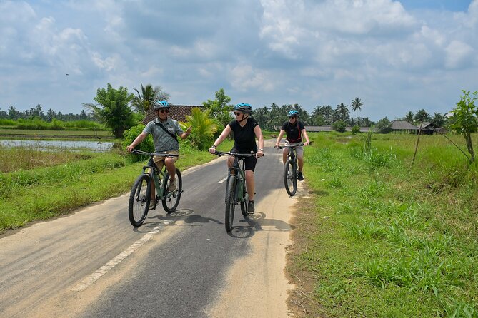 Cycling and Cooking Class in Ubud - Your guide experience: Ari and the art of explaining without lecturing