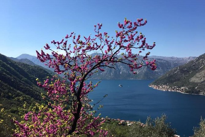 Cycling and hiking short tour through the bay of Kotor - Swimming time in the bay: pack for the dock stop
