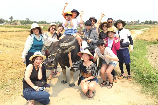 Cycling, Buffalo, Basket Boat ride in Hoi An - The Part I’d Schedule First: Joining Farm Work and Baby Rice Planting