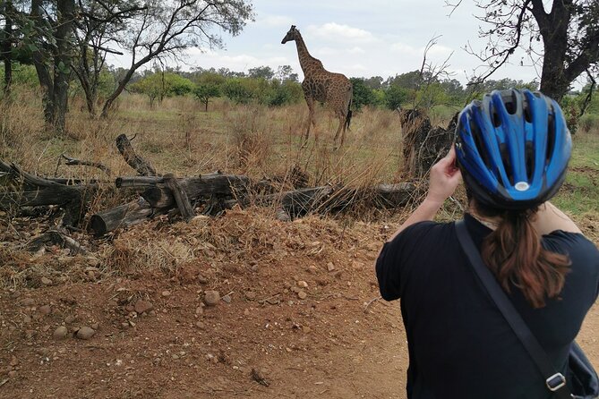 Cycling in a Forest close to Johannesburg and Pretoria - Pretoria and Johannesburg forest riding that actually matches your skill