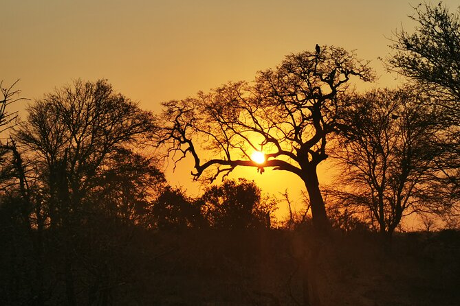 Cycling in a Forest close to Johannesburg and Pretoria - Price and value: what you’re really paying for