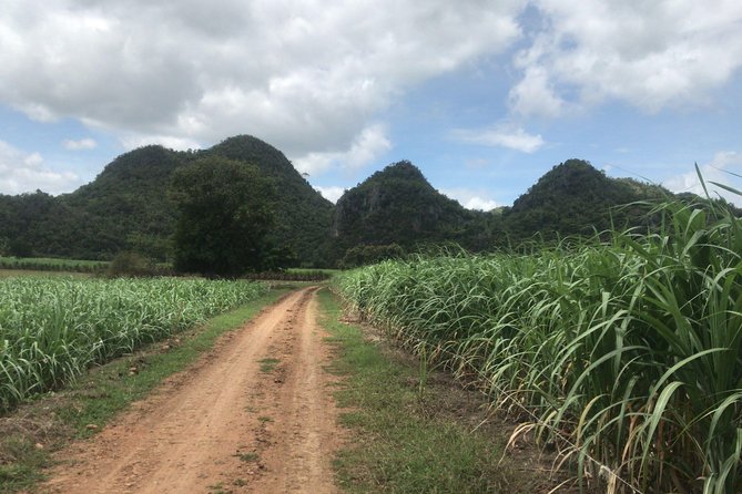 Cycling in rural Kanchanaburi area - First pedal strokes: where you meet and how the morning works