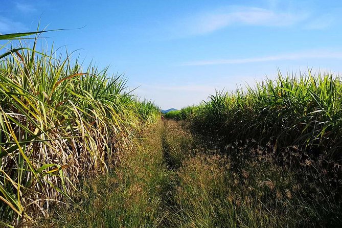 Cycling in rural Kanchanaburi area - Stop at SUP Hire Thailand: what to expect before you roll out