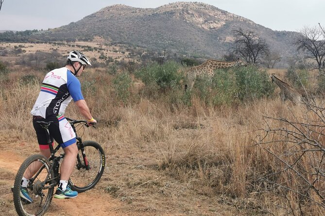 Cycling The Cradle of Humankind in Game Reserve - Getting Picked Up at 8:00 and Settling In Fast