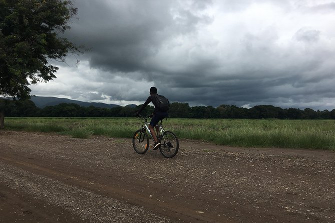 Cycling through the TPC plantations - Where the ride starts in Moshi (and why timing matters)