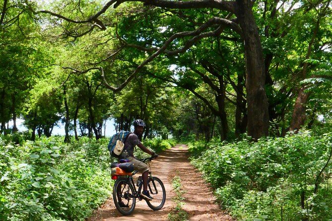 Cycling through the TPC plantations - How demanding is it, really? (Flat riding, moderate effort)