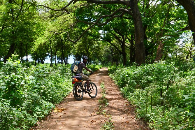Cycling through the TPC plantations - Getting the most out of it: practical tips before you pedal