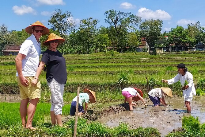 Cycling Tour in Yogyakarta with Lunch 3-Hour - What This Yogyakarta Cycling Tour Really Gives You