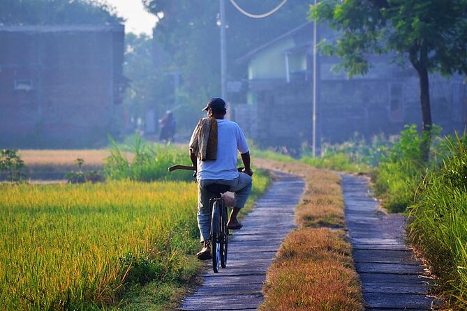 Cycling Tour in Yogyakarta with Lunch 3-Hour - Price Check: Is $25 Good Value for This Day?